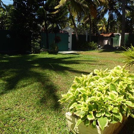 Villa W Bentota Ngoại thất bức ảnh