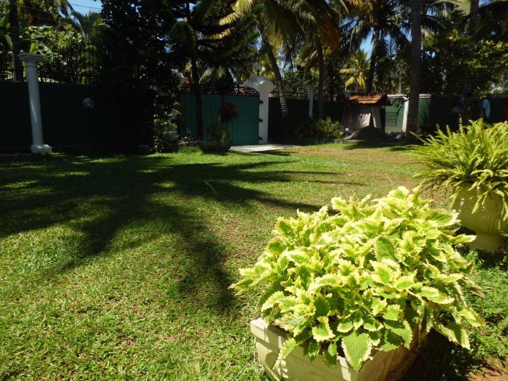 Villa W Bentota Ngoại thất bức ảnh