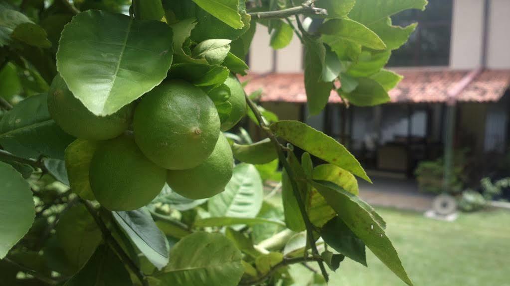 Villa W Bentota Ngoại thất bức ảnh
